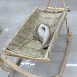 بانوج ایلیا کرم