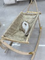 بانوج ایلیا کرم