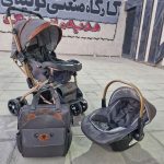 سرویس کالسکه گندم گربه - Image 3